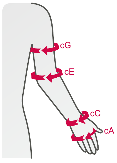 Size guide · cA / cC / cE / cG